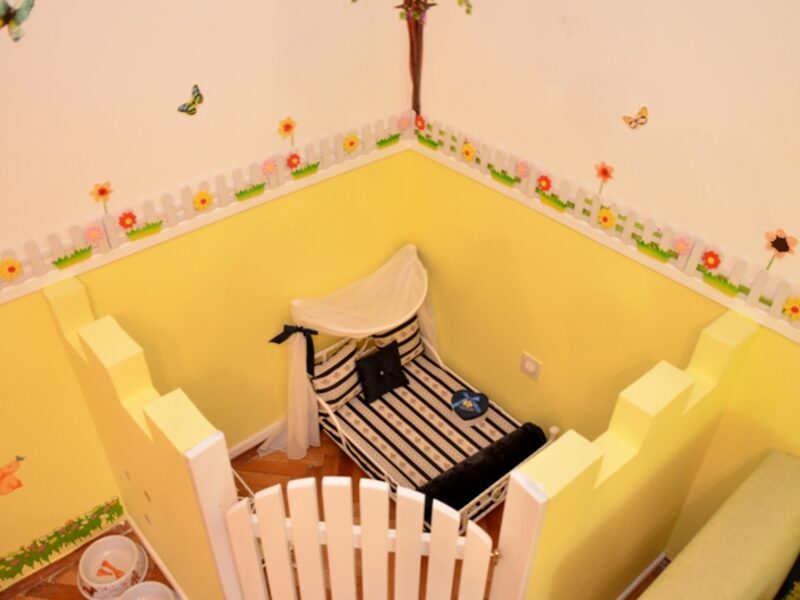 Žuti apartman sa krevetićem i ogradicom za psa