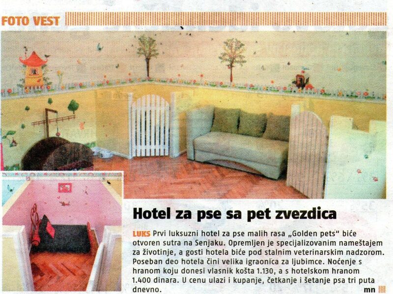 Novinski članak o Golden Pets hotelu za pse sa pet zvezdica