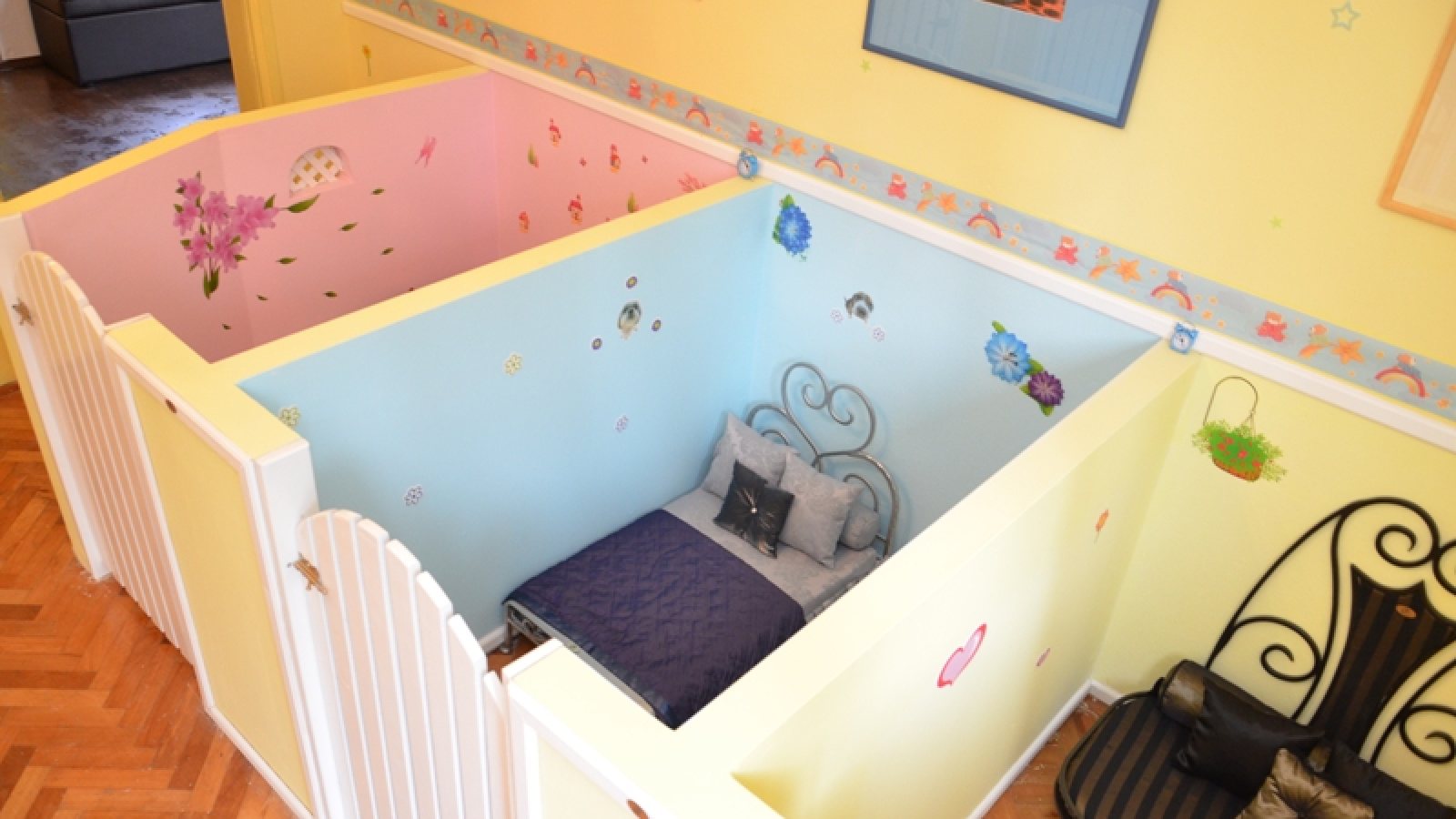 Golden Pets Hotel u emisiji Nacionalni dnevnik TV Pink
